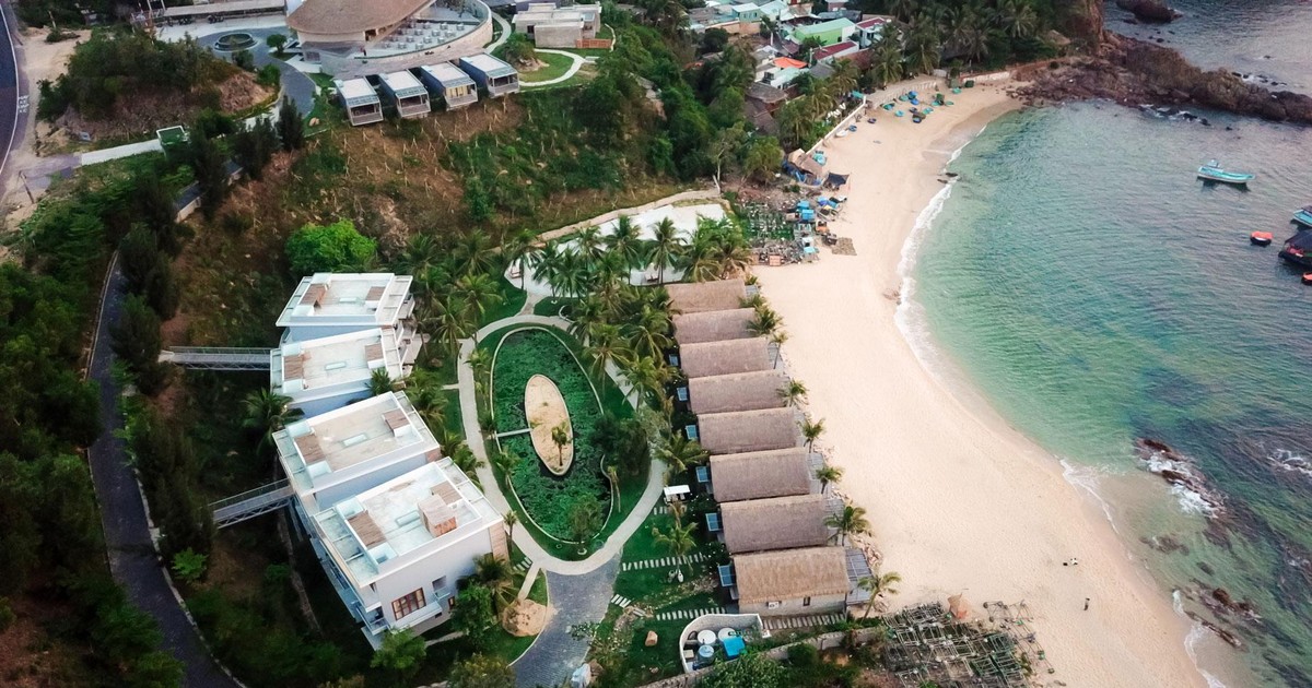 Bamboo Capital bán 51% vốn một công ty bất động sản 1 bamboo capital ban 51 von mot cong ty bat dong san 65a0a76b54ff4