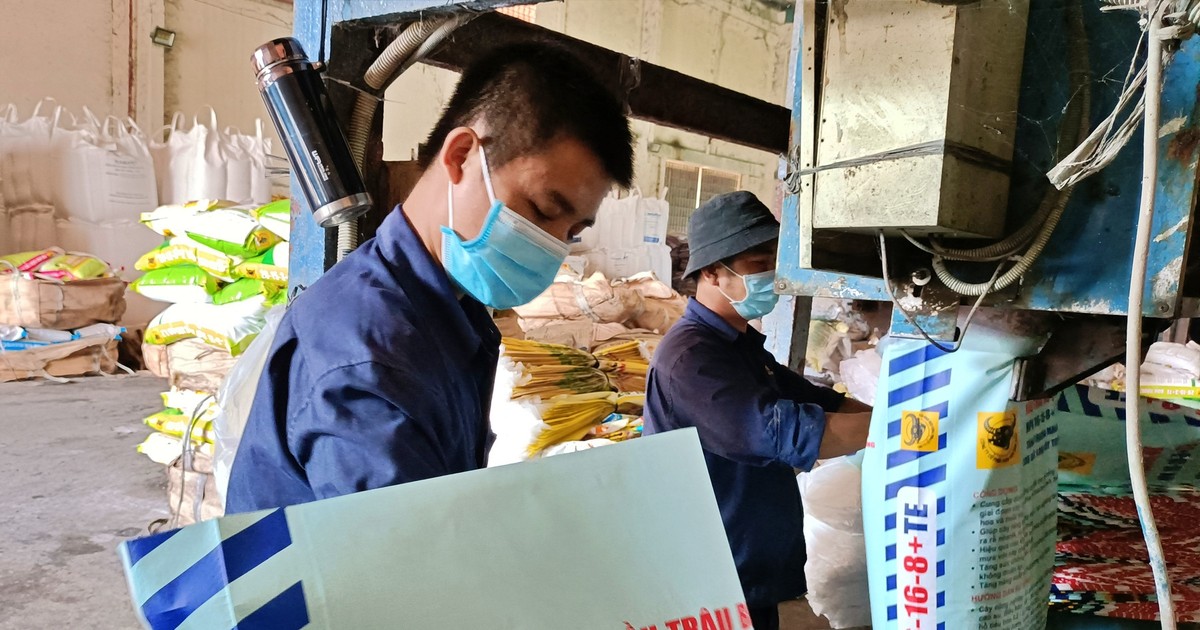 Chi phí tăng kéo lãi của Bình Điền giảm 20%, cổ phiếu vẫn thăng hoa 1 chi phi tang keo lai cua binh dien giam 20 co phieu van thang hoa 65b79d9820ff2