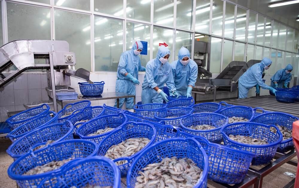 Cổ phiếu cần quan tâm ngày 5/1 1 co phieu can quan tam ngay 5 1 6597a5d89f417