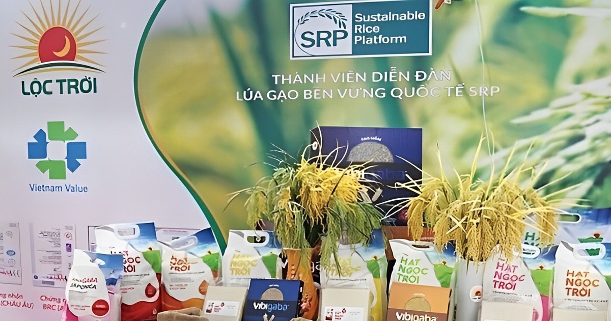 Doanh thu cao kỷ lục, lãi ròng Lộc Trời năm 2023 vẫn giảm hai con số 1 doanh thu cao ky luc lai rong loc troi nam 2023 van giam hai con so 65b862b81691e