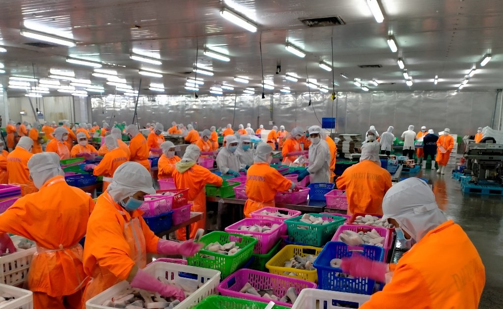 Navico ghi nhận lỗ trong quý cuối cùng năm 2023 1 navico ghi nhan lo trong quy cuoi cung nam 2023 65b23b675289c