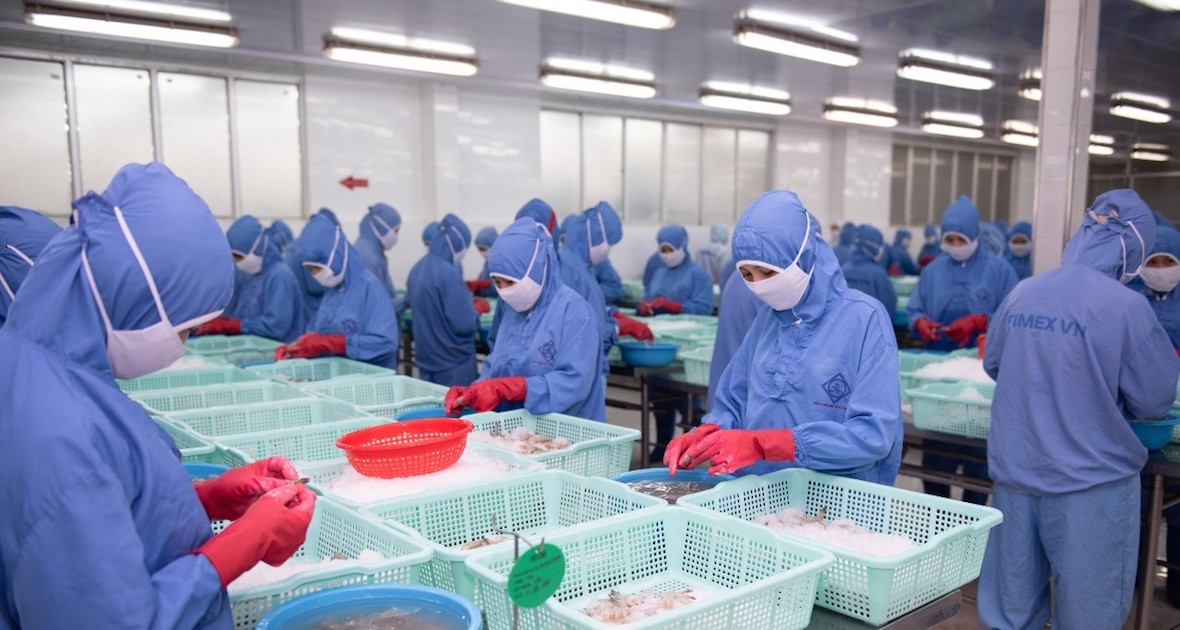 Sao Ta hoàn thành mục tiêu năm 2023 với doanh số đạt 200 triệu USD 1 sao ta hoan thanh muc tieu nam 2023 voi doanh so dat 200 trieu usd 659a482183129