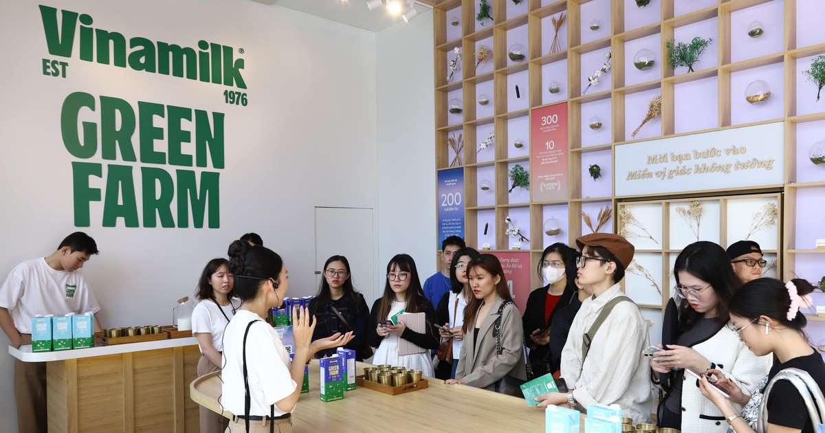 vinamilk dong luc thuc day doanh thu quy 4 2023 den tu thi truong nuoc ngoai 65b9a5da570ae