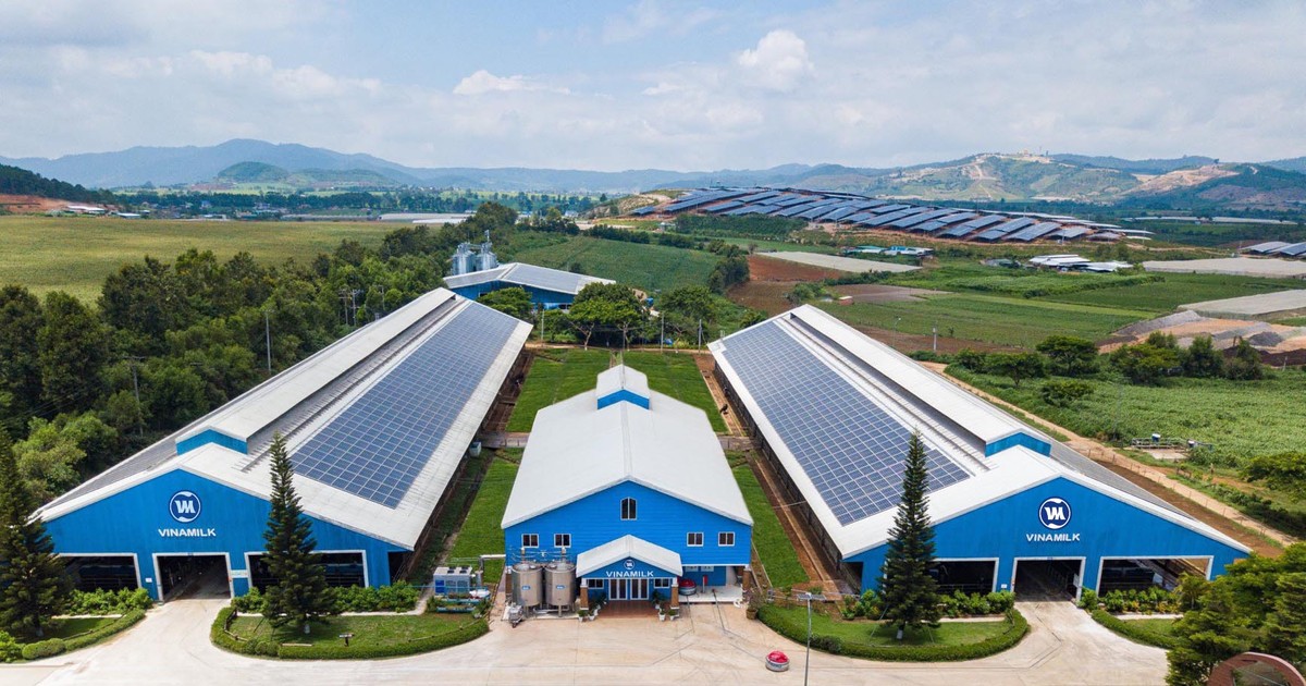 Cổ phiếu cần quan tâm ngày 5/2 1 co phieu can quan tam ngay 5 2 65c03dc59e2d5