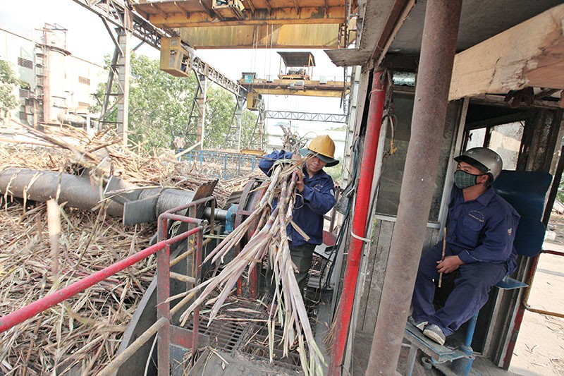 Cổ phiếu ngành đường “chưa thấy vị ngọt” 2 co phieu nganh duong chua thay vi ngot 65c02faeecf26