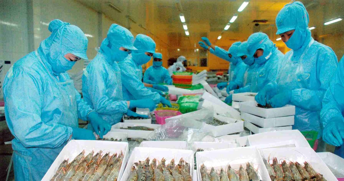 Doanh nghiệp thủy sản liệu có thể 'bứt phá' trong năm 2024? 1 doanh nghiep thuy san lieu co the but pha trong nam 2024 65c977d7d65f1