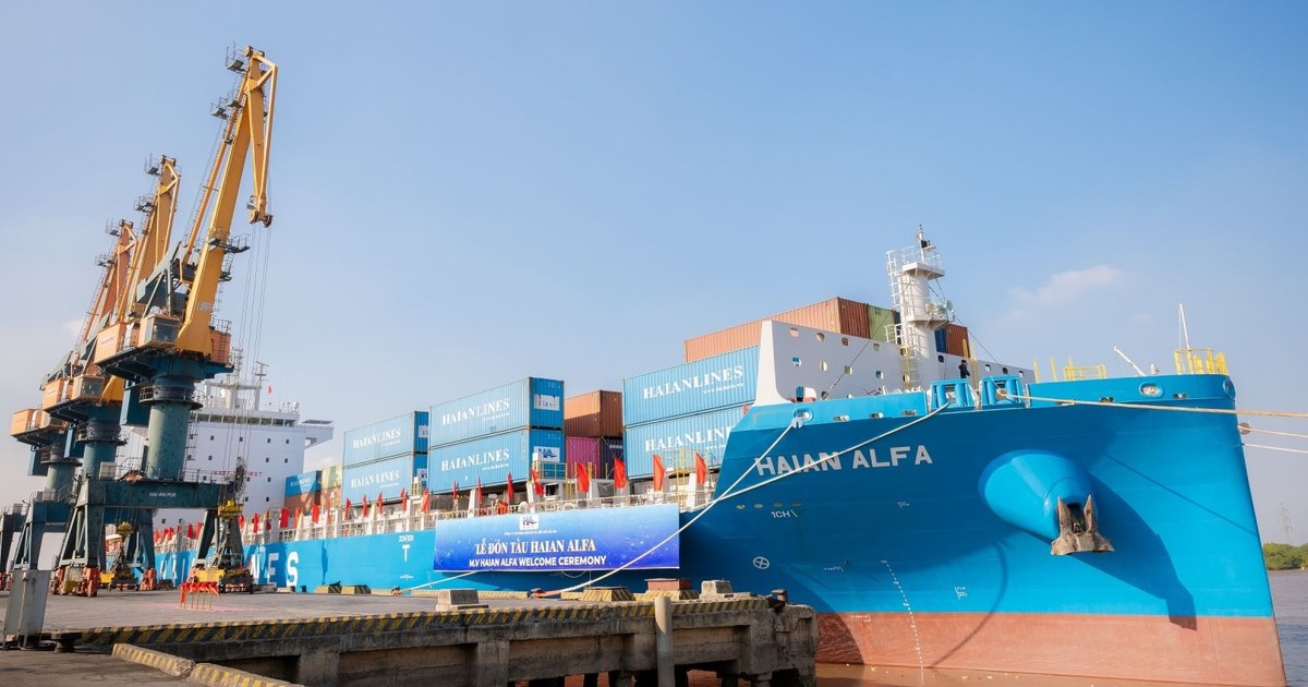 HAH nêu thách thức của ngành vận tải biển năm 2024 1 hah neu thach thuc cua nganh van tai bien nam 2024 65de9dea49571