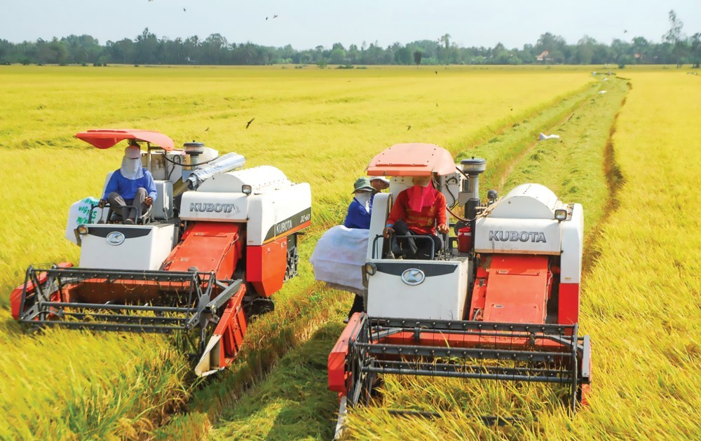 khoi dong du an hop tac giua doanh nghiep nong nghiep viet nam australia 65ddaf0008f6e