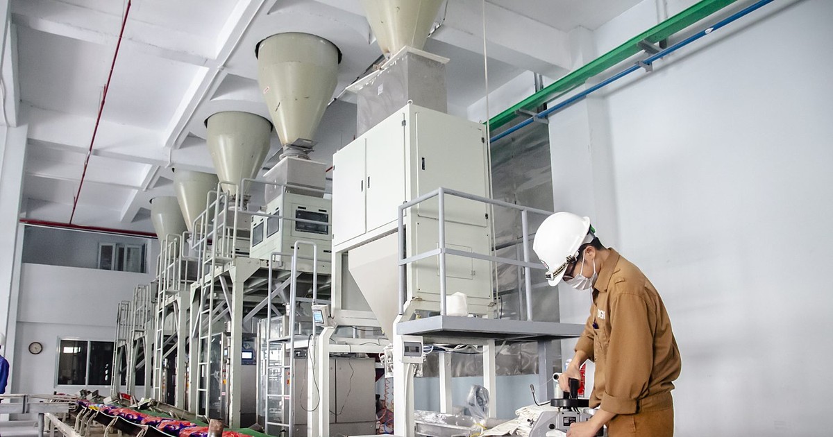 Không phải nhóm thép, một cổ phiếu vừa đạt đỉnh cao nhất 20 tháng 1 khong phai nhom thep mot co phieu vua dat dinh cao nhat 20 thang 65ded698857a4