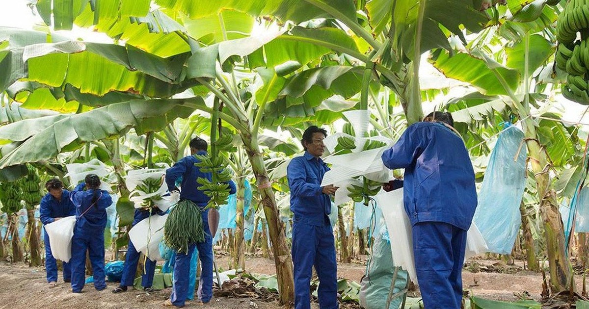 Nhờ đâu doanh nghiệp của bầu Đức lãi cao nhất 13 năm? 1 nho dau doanh nghiep cua bau duc lai cao nhat 13 nam 65bb137f0ff95