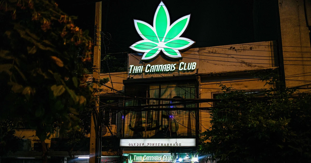 Thái Lan sắp cấm sử dụng cần sa cho mục đích giải trí 1 thai lan sap cam su dung can sa cho muc dich giai tri 65e0635b1ca6e