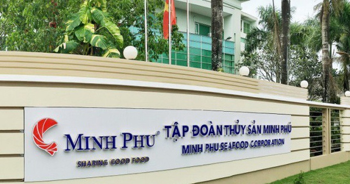 Thủy sản Minh Phú có lãi ròng thấp nhất kể từ năm 2008 1 thuy san minh phu co lai rong thap nhat ke tu nam 2008 65c44dfc9c36a