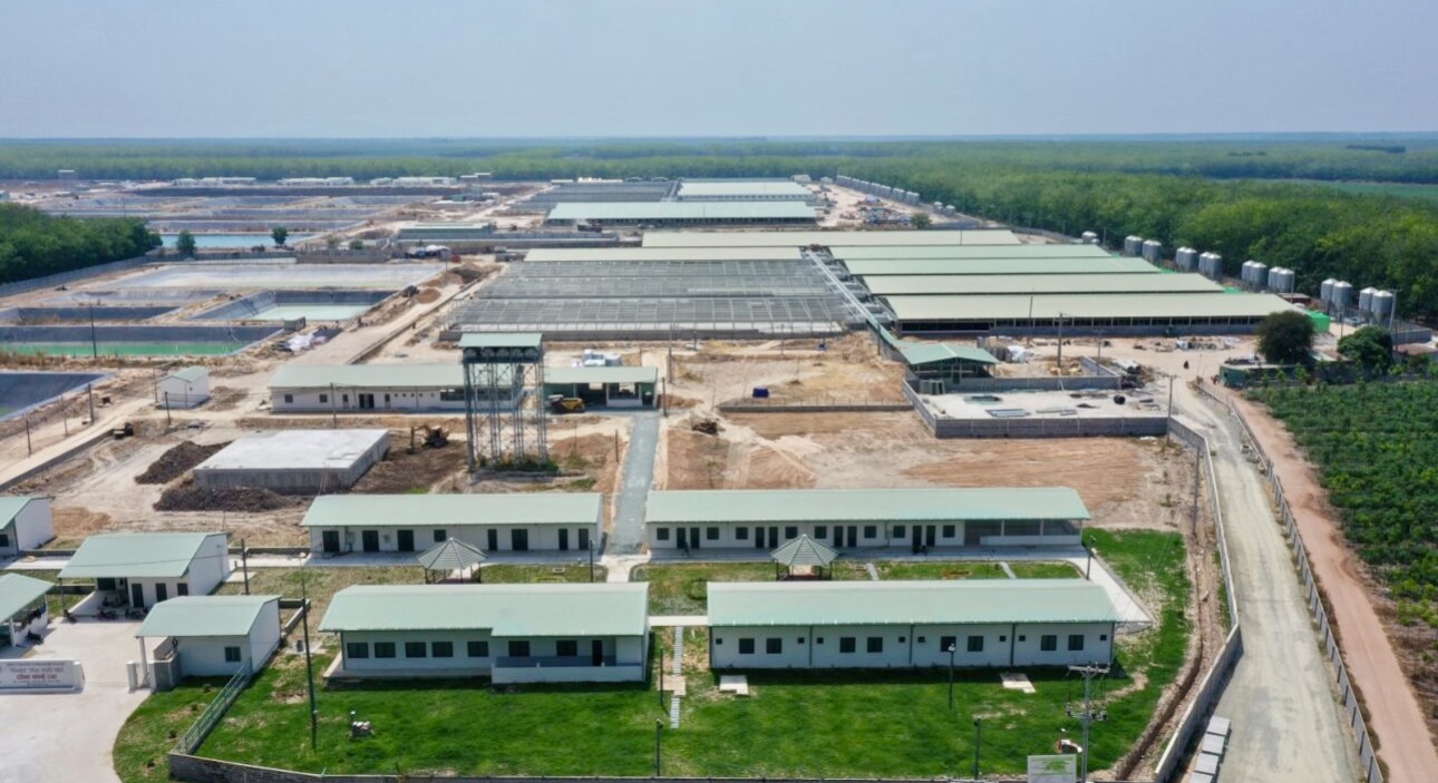 BAF KHÁNH THÀNH CÙNG LÚC CỤM SIÊU TRANG TRẠI NUÔI HEO CÔNG NGHỆ CAO HẢI ĐĂNG TÂY NINH VÀ TRANG TRẠI HEO THỊT TÂN CHÂU 13 IMG 7195