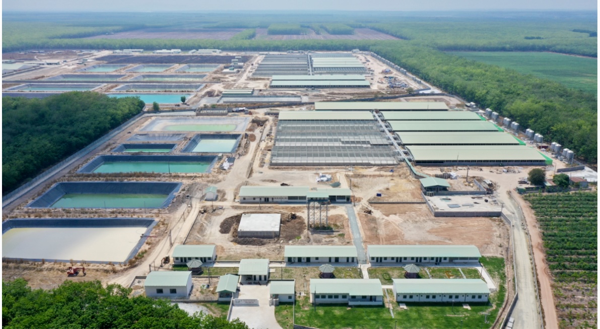 BAF - ĐẶT KẾ HOẠCH LỢI NHUẬN NĂM 2024 TĂNG GẤP 10 LẦN SO VỚI NĂM 2023 11 IMG 7199