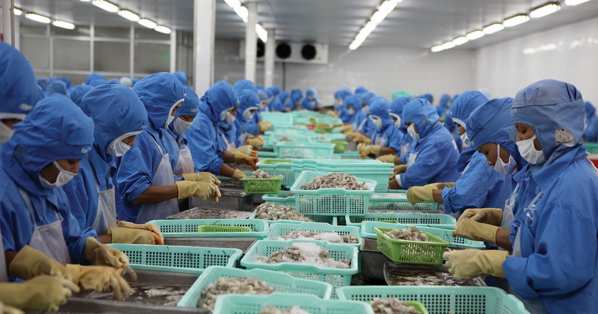 “Cá tôm” đắt hàng mùa cổ tức 1 ca tom dat hang mua co tuc 65fb9f590d93b