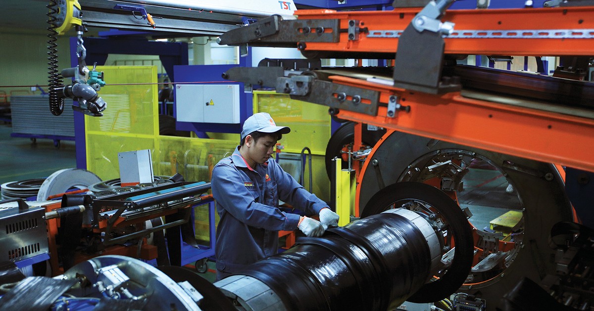 co phieu cao su tam ung tuong lai 6602994e0f268