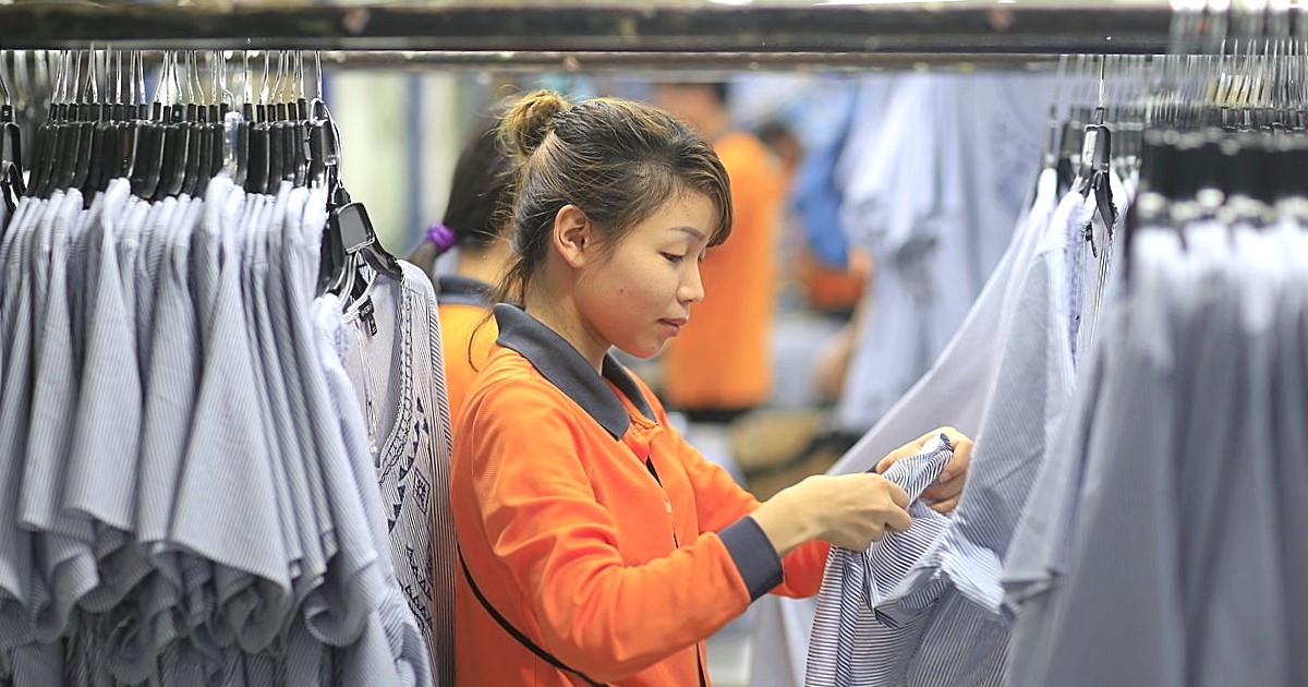 det may tcm xin y kien co dong khong chia co tuc tien mat 65ff85537f85b