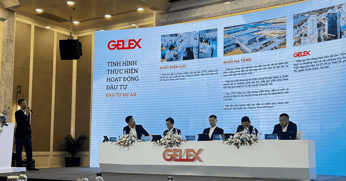 dhdcd gelex muc tieu doanh thu 13 ty usd 6604d96141c1a