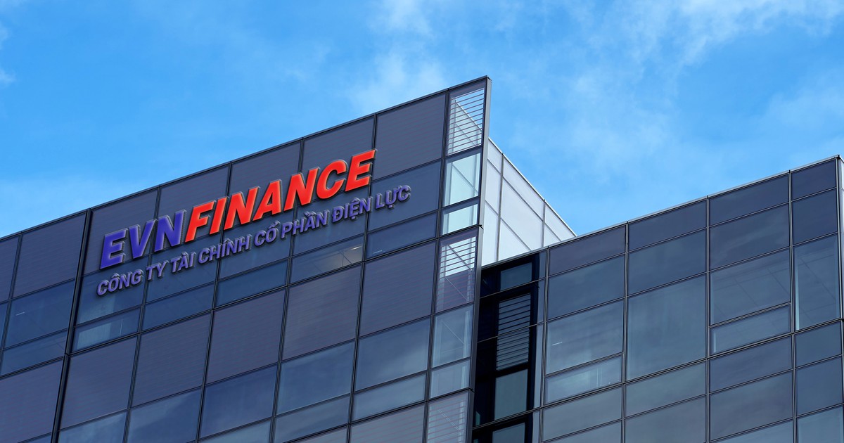 EVNFinance miễn nhiệm một phó tổng giám đốc 1 evnfinance mien nhiem mot pho tong giam doc 6608ce46400a6