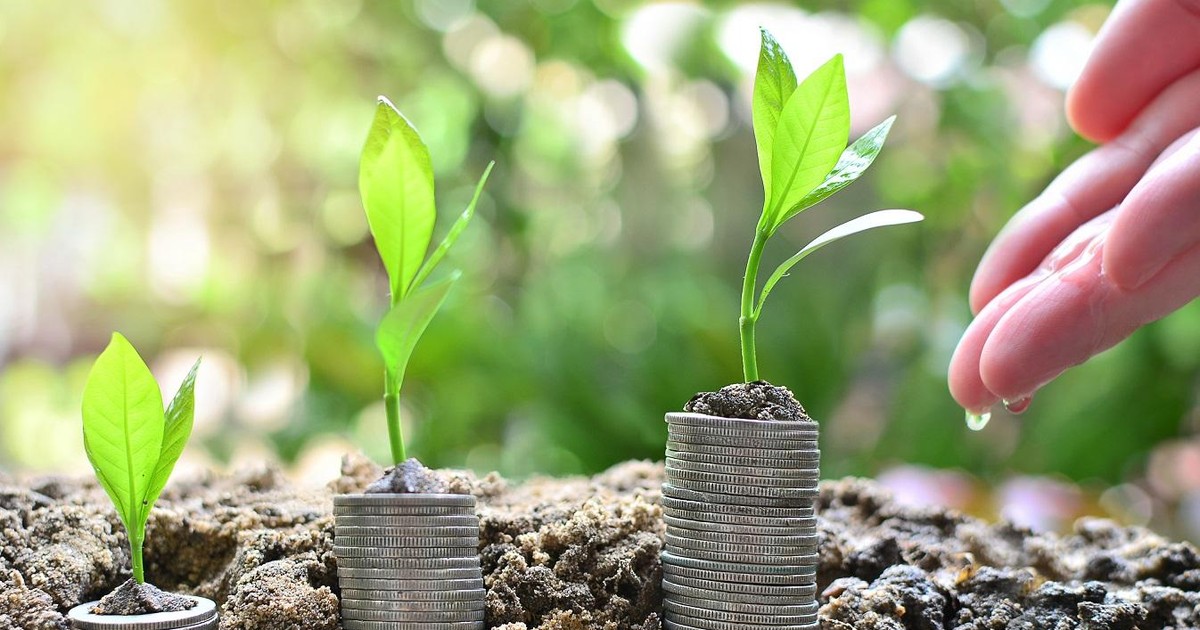 nhan dinh thi truong phien giao dich chung khoan ngay 28 3 chi mua khi thi truong co rung lac 6604cc316d214