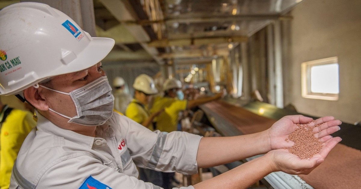 Xuất khẩu Đạm Cà Mau tháng 2 tăng trưởng gấp 10 lần 1 xuat khau dam ca mau thang 2 tang truong gap 10 lan 6601393f91ea1