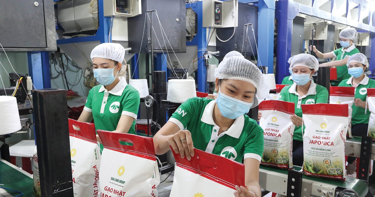 chenh venh co phieu gao 6628e2d45c2e5