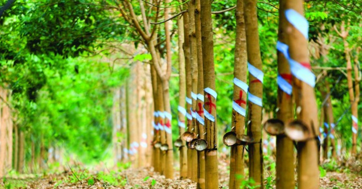 Cổ phiếu cần quan tâm ngày 8/4 1 co phieu can quan tam ngay 8 4 6613aebd07013