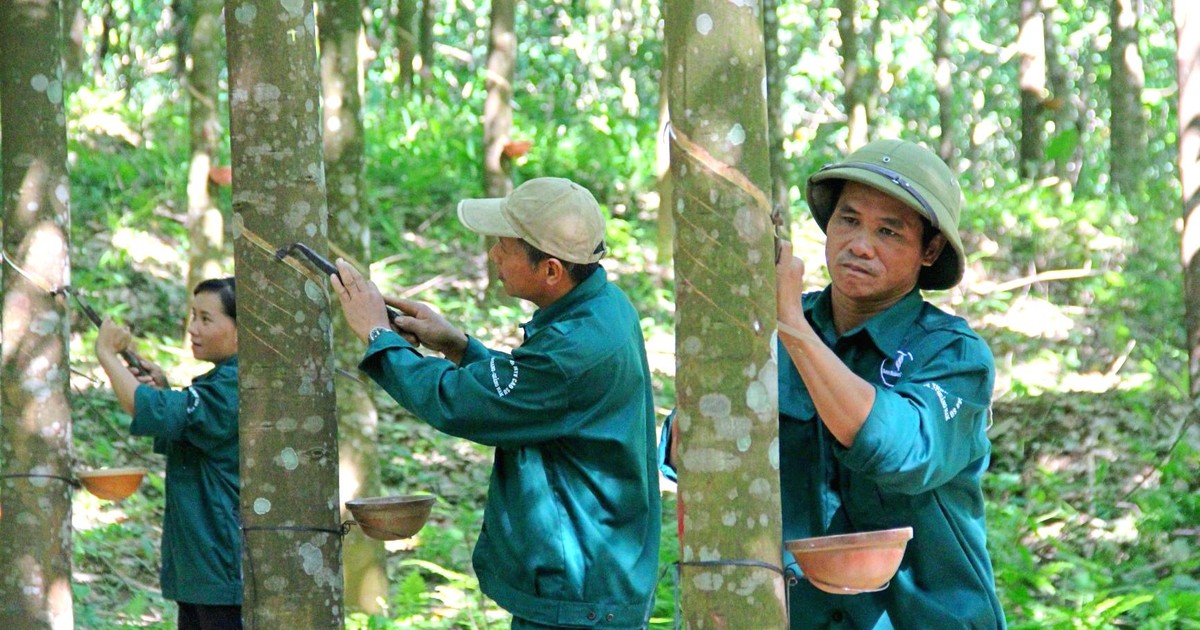 Doanh thu PHR tăng trưởng nhờ mảng khu công nghiệp 1 doanh thu phr tang truong nho mang khu cong nghiep 6614c7912c7c6