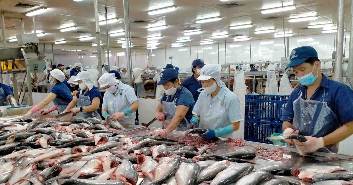 lai rong cua idi sut giam 16 sau kiem toan 66174e68ad9e7