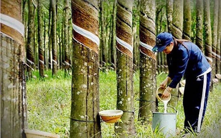 lai rong quy 1 2024 cua phr giam sau 66 so voi cung ky 2023 6627d78c914e7