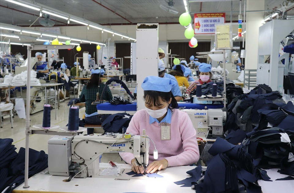 mot cong ty det may sap tra co tuc bang tien ty le 50 662871ffe2e77