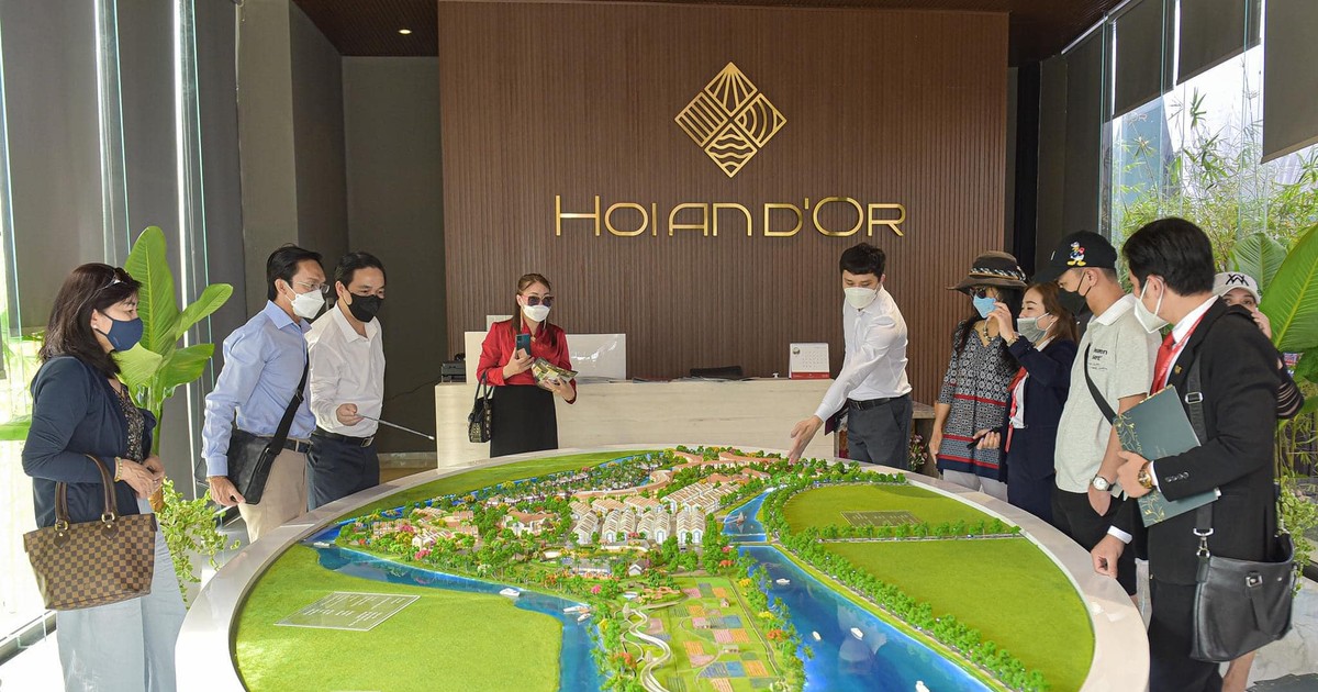 Nhờ đâu Bamboo Capital lãi gấp 11 lần 1 nho dau bamboo capital lai gap 11 lan 6621da69c32b2