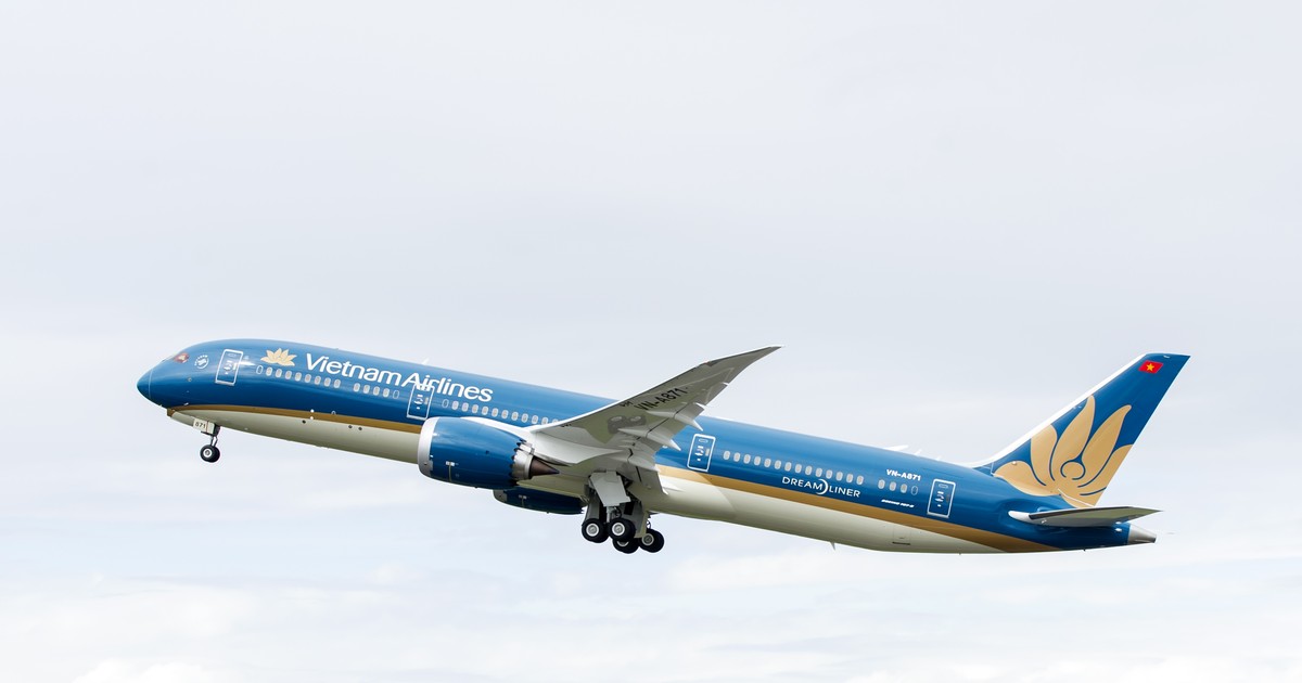 Vietnam Airlines dự kiến tổ chức ĐHĐCĐ 2024 cuối tháng 6 1 vietnam airlines du kien to chuc dhdcd 2024 cuoi thang 6 6614c7a06319b