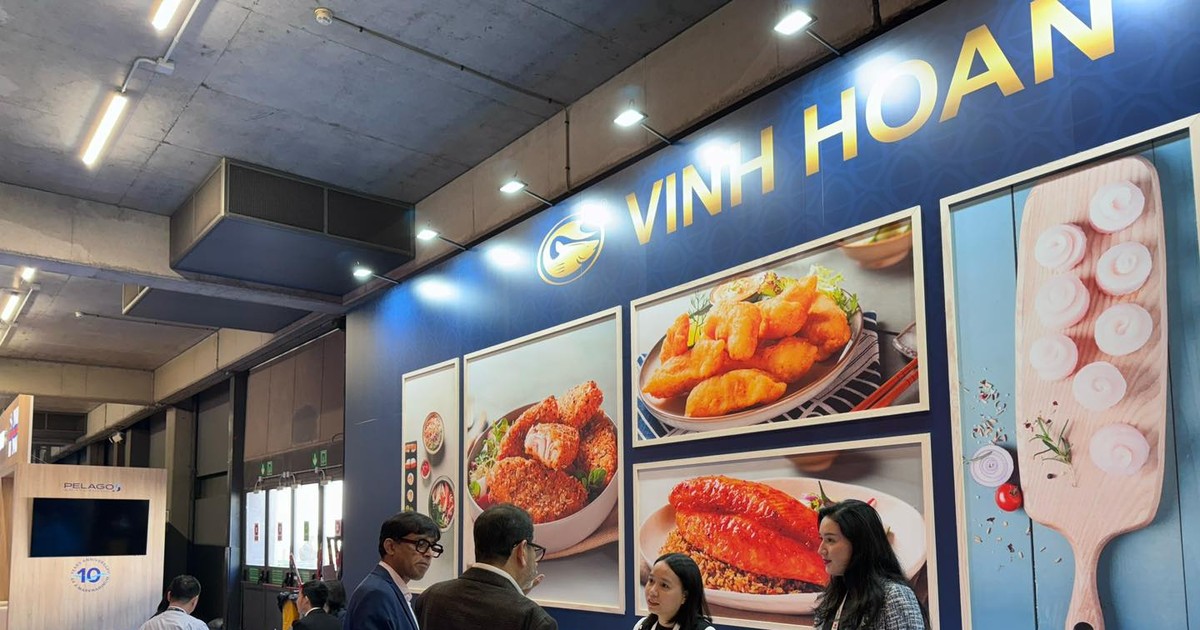 vinh hoan xin gia han cong bo bao cao tai chinh quy 1 2024 66290cb446925